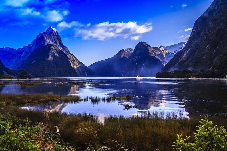 Experience health and wellness in New Zealand