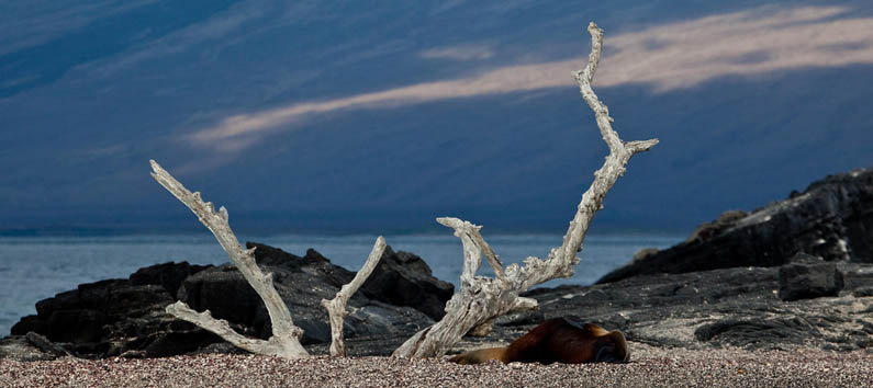 Galapagos Islands