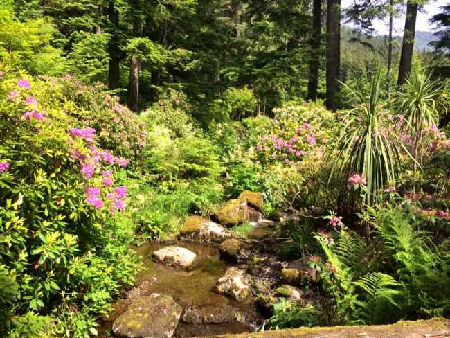 Glacier Gardens, Juneau, Alaska, USA