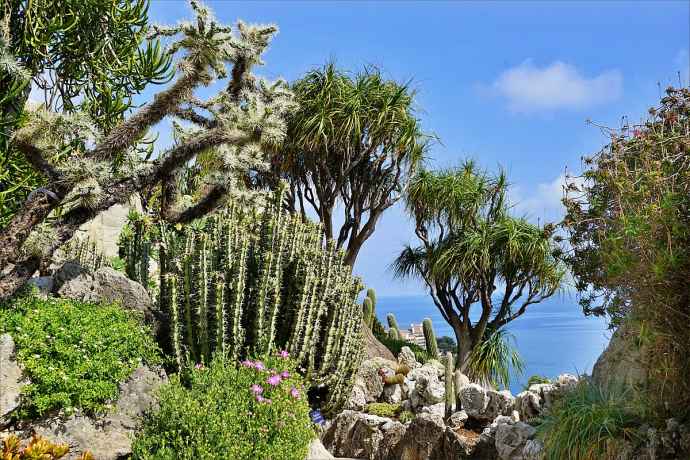 Jardin Exotique, Monaco