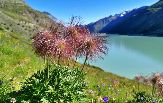 Saas-Fee in summertime for family adventure