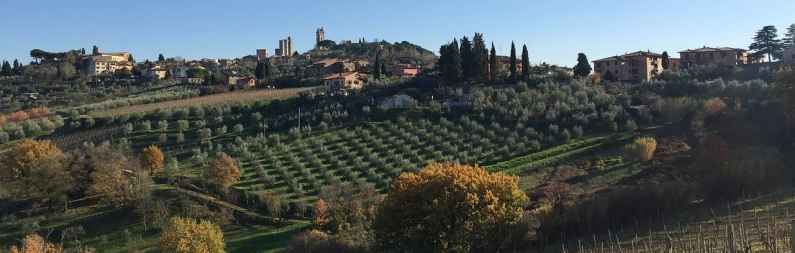 Tuscany vineyard